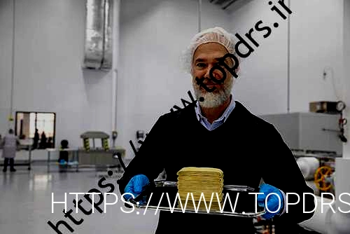 تولید همبرگر و ناگت سبزیجات از میکروب های آب: