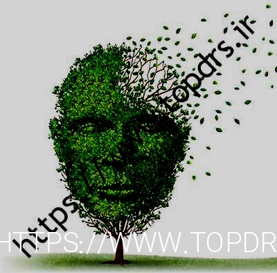 زندگی در دهکده آلزایمر: