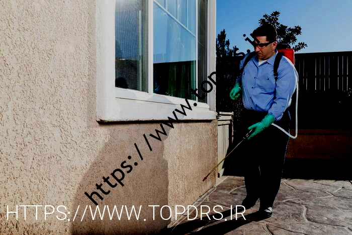 این 7 نکته را بیاموزید تا در خانه همه کاره باشید: