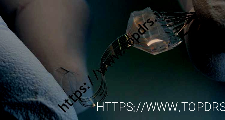 ایمپلنت ستون فقرات؛  امید جدید برای درمان کامل فلج: